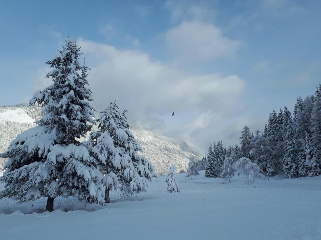 Ferienwohnungen Mitterer Weissensee Exterior photo